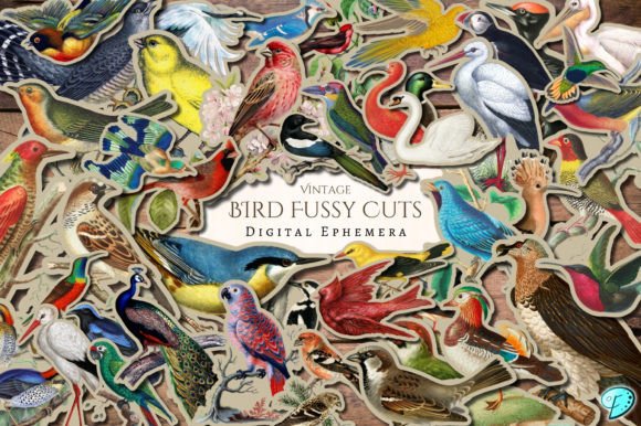 Download Vintage Bird Fussy Cut Digital Ephemera - Bird Collection