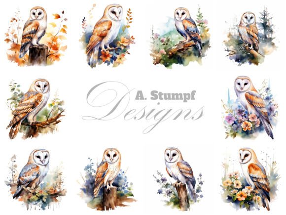 Download Barn Owl Clipart Watercolor Bird Images - Bird Collection
